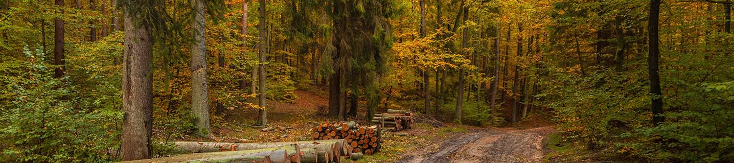 Ambiance Rapido Serie C